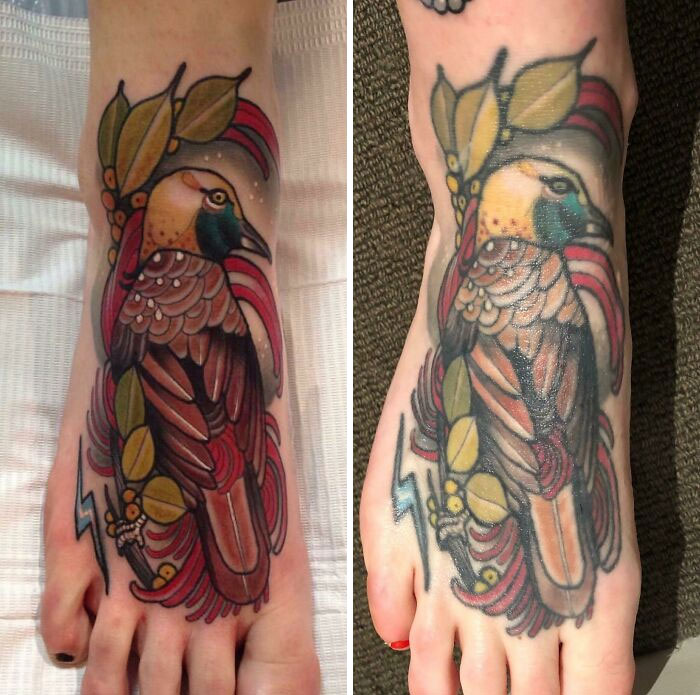 Aged tattoos: vibrant bird design showing color changes over time on feet.
