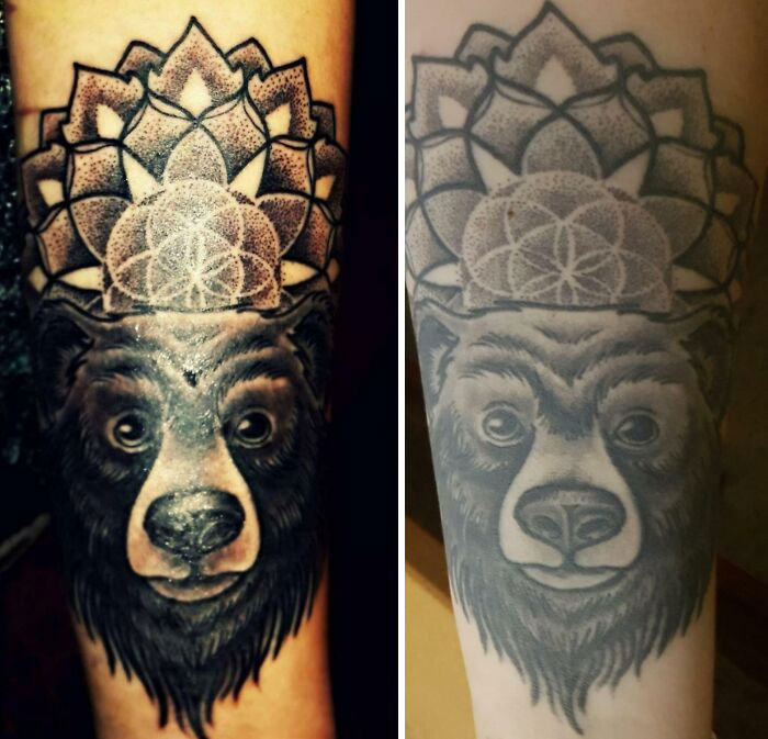 Bear tattoo aged over time, showing ink fading and changes.