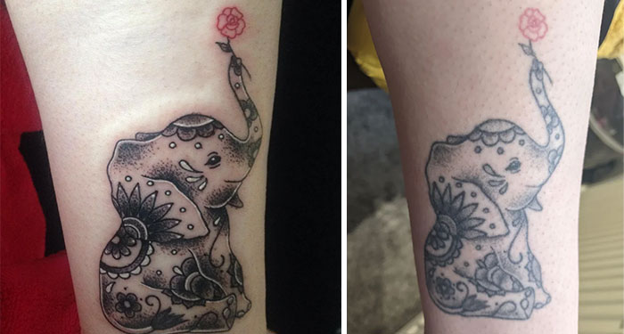 Aged tattoos of an elephant over time, with colors fading slightly, showcasing ink changes through the years.