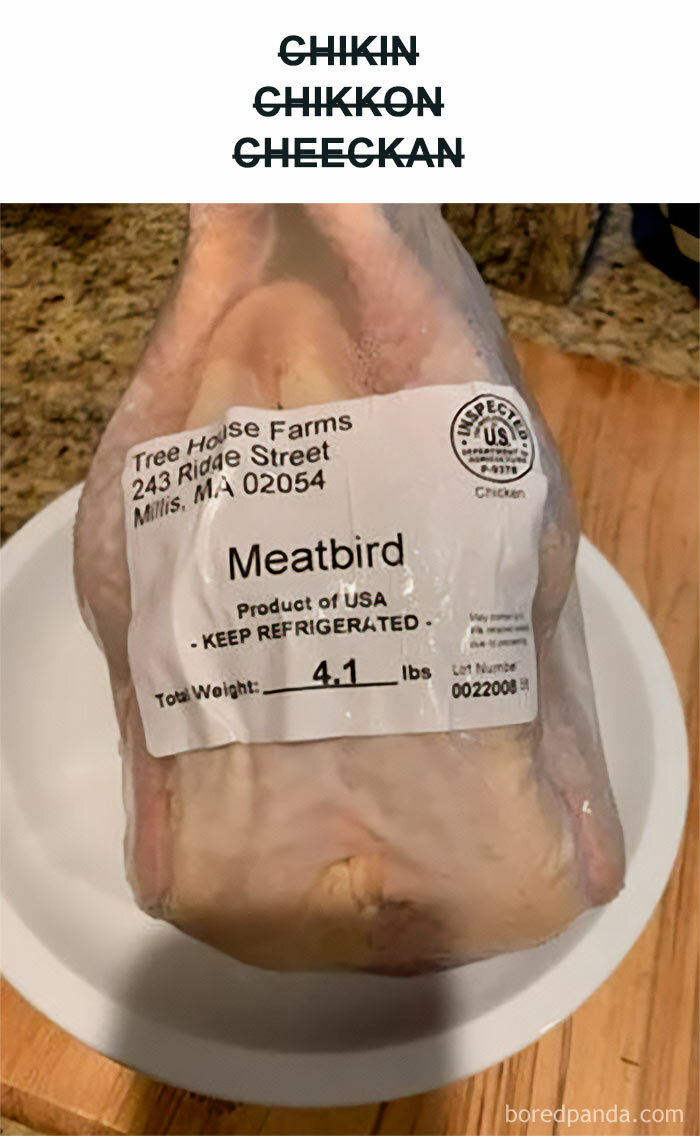 All-You-Can-Eat-Funny-Memes