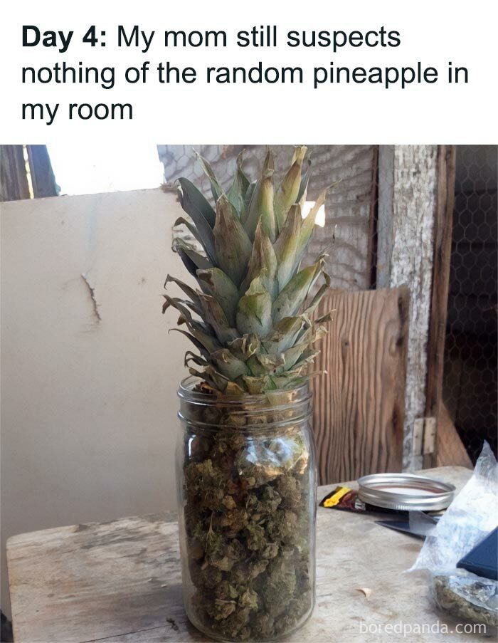 All-You-Can-Eat-Funny-Memes