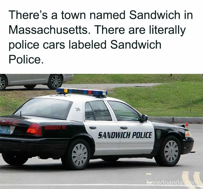 All-You-Can-Eat-Funny-Memes