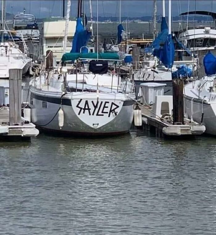 Americas-Cultural-Decline-Into-Idiocy-Posts-About-USA