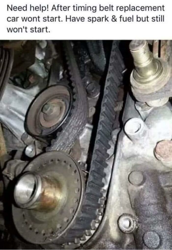 Americas-Cultural-Decline-Into-Idiocy-Posts-About-USA