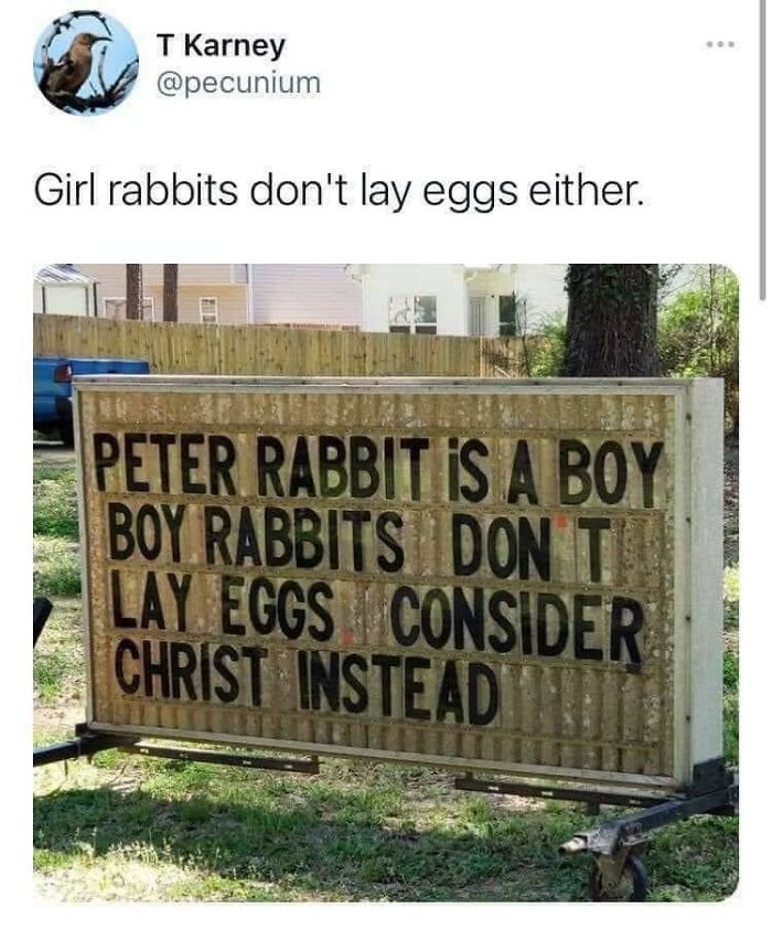 Americas-Cultural-Decline-Into-Idiocy-Posts-About-USA