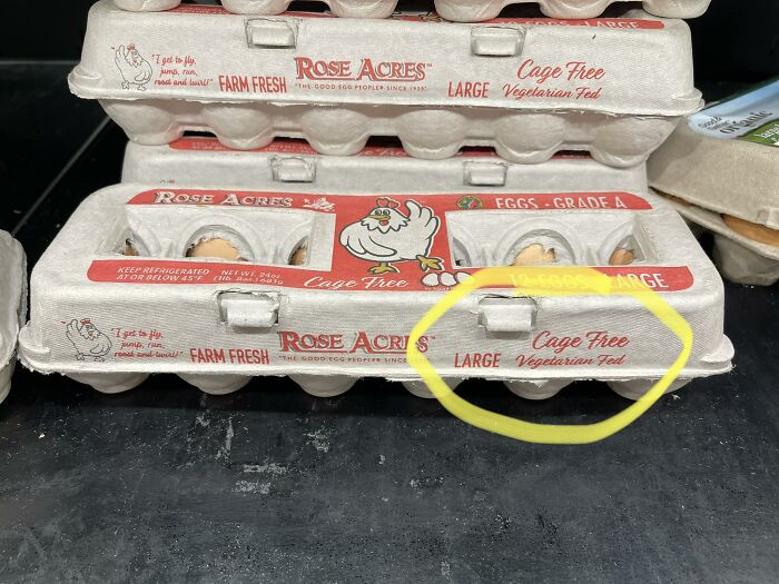 Americas-Cultural-Decline-Into-Idiocy-Posts-About-USA