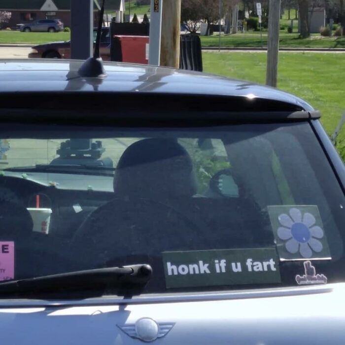 Americas-Cultural-Decline-Into-Idiocy-Posts-About-USA