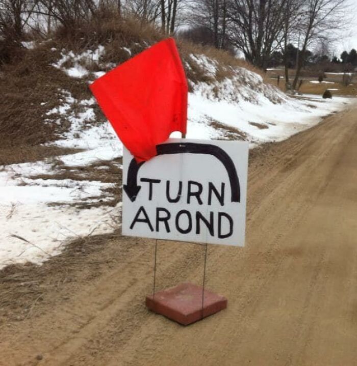 Americas-Cultural-Decline-Into-Idiocy-Posts-About-USA