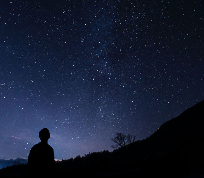 36 April Fun Facts To Celebrate Nature Awakening