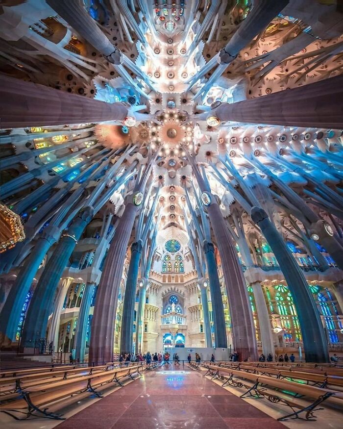 Inside La Sagrada Familia, Barcelona