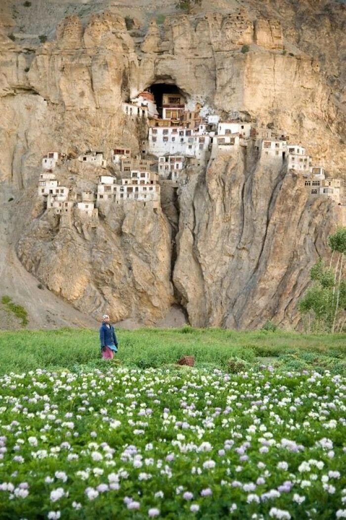 The Phuktal Monastery Is Built Around A Natural Cave, Which Is Believed To Have Been Visited By Numerous Sages, Scholars, Translators, And Monks Around 2,550 Years Ago