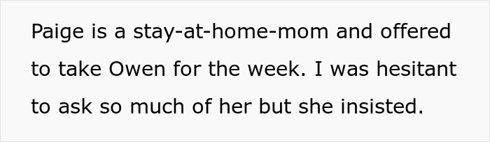Rich Parents Want To Adopt Their Son's Friend From His Single Mom, The Mom Only Then Realizes All The Red Flags