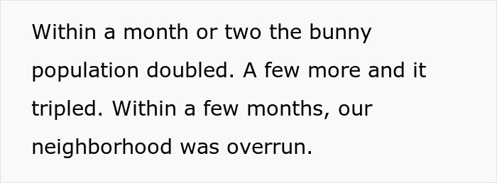 HOA Forces This Family To Get Rid Of Their Bunnies, So They Start A "Bunnypocalypse" Before Moving HOA Forces This Family To Get Rid Of Their Bunnies, So They Start A "Bunnypocalypse" Before Moving