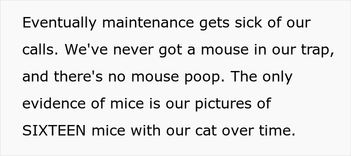 Maintenance Asks Tenant To Provide “Proof” Of Mouse Infestation By Bringing What They Catch To The Main Office, They Maliciously Comply Maintenance Asks Tenant To Provide “Proof” Of Mouse Infestation By Bringing What They Catch To The Main Office, They Maliciously Comply
