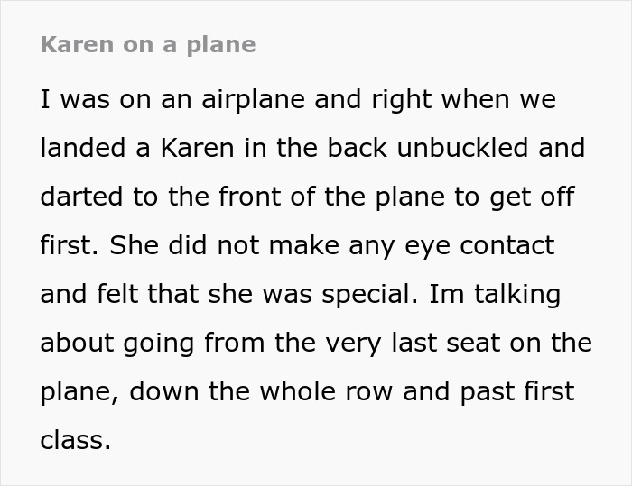 &ldquo;I Loved Every Moment Of That&rdquo;: Plane Bursts Into Laughter And Applause After Captain Puts An Entitled Passenger In Her Place