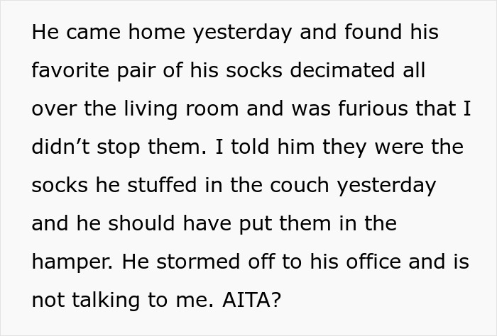 Guy Gets Tired Of His Boyfriend's Socks Being Scattered All Over Their Home, "Unionizes" With Their Dogs Against Him