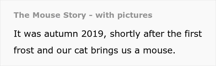 Maintenance Asks Tenant To Provide “Proof” Of Mouse Infestation By Bringing What They Catch To The Main Office, They Maliciously Comply Maintenance Asks Tenant To Provide “Proof” Of Mouse Infestation By Bringing What They Catch To The Main Office, They Maliciously Comply