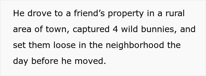 HOA Forces This Family To Get Rid Of Their Bunnies, So They Start A "Bunnypocalypse" Before Moving HOA Forces This Family To Get Rid Of Their Bunnies, So They Start A "Bunnypocalypse" Before Moving