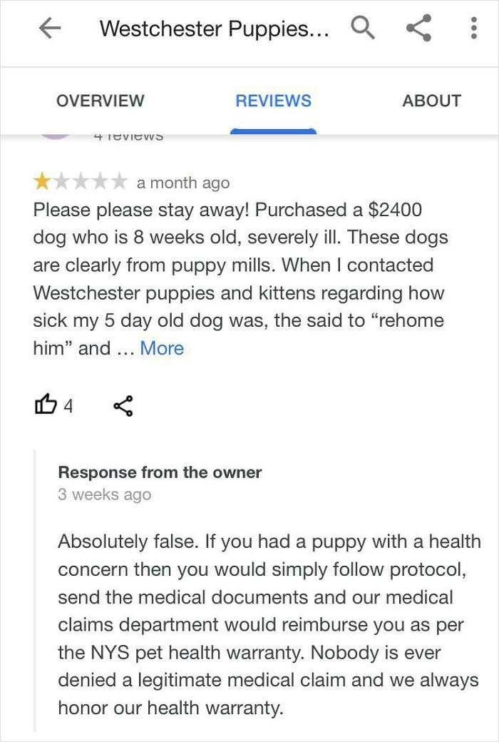 Got Caught Faking A Puppy Review