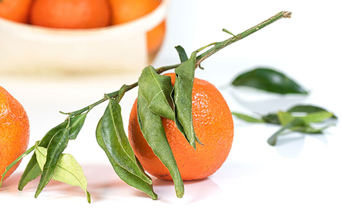 A couple of oranges sitting on top of a table