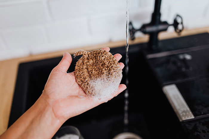 Woman holding an eco friendly dish sponge