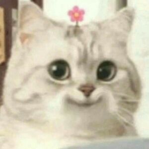 hindkhazaal666 avatar