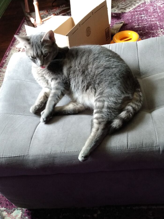 My Blepping Bouche Is My Happy Place