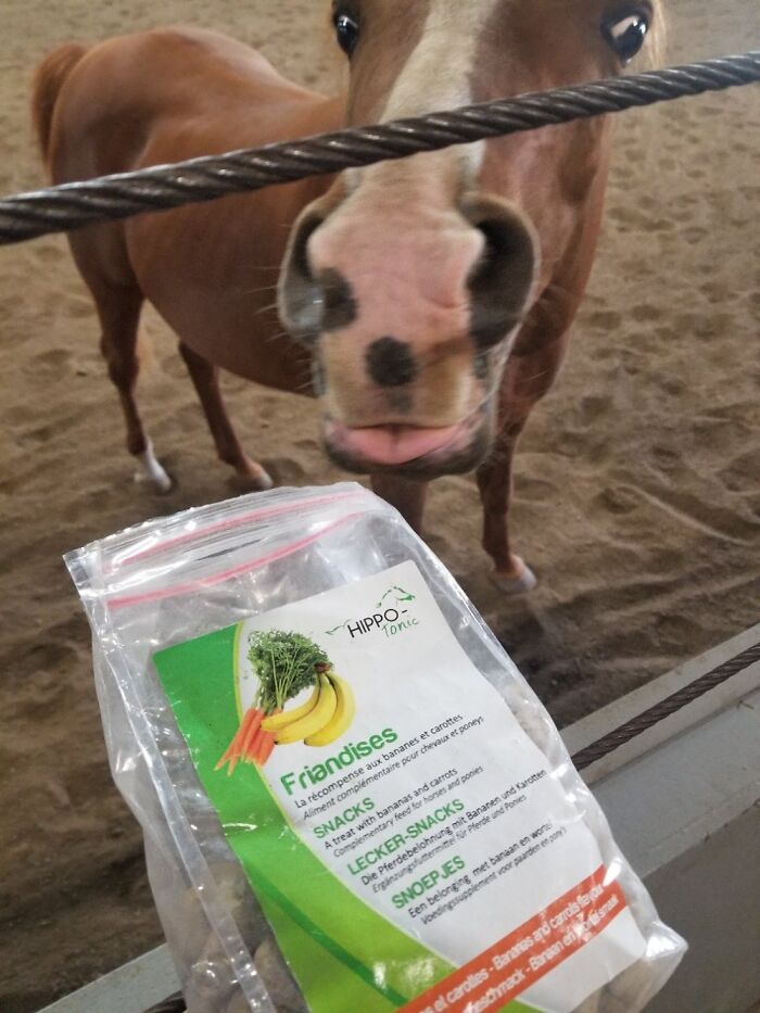 We Love Our Cookies!