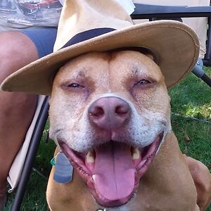 realenancy170 avatar