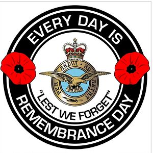 nicolabarden40 avatar