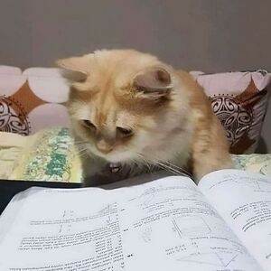 mohanapriyaa1410 avatar