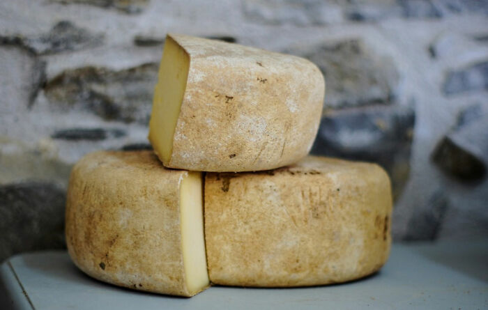 pieces of circle cheese