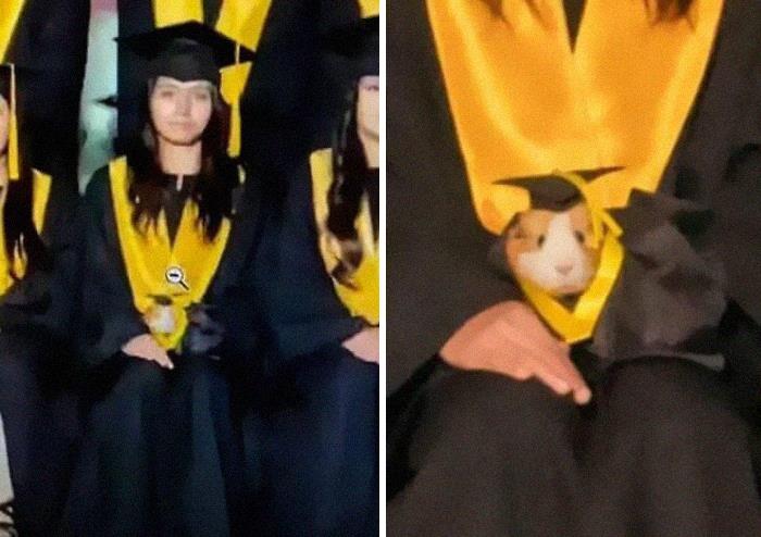 50 Times People Spotted Animals In Places They Shouldn't Be And Just Had To Document It