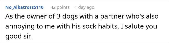Guy Gets Tired Of His Boyfriend's Socks Being Scattered All Over Their Home, "Unionizes" With Their Dogs Against Him