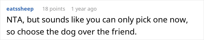 &ldquo;She Never Barks And Is The Best Hiking Buddy Ever&rdquo;: Guy Has Had His Friend&rsquo;s Dog For 2.5 Years When Friend Asks Him To Ship Her Back, Guy Refuses