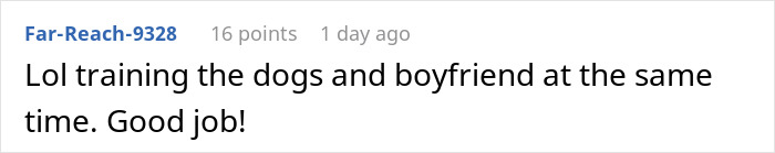 Guy Gets Tired Of His Boyfriend's Socks Being Scattered All Over Their Home, "Unionizes" With Their Dogs Against Him