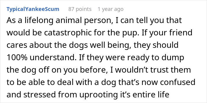 &ldquo;She Never Barks And Is The Best Hiking Buddy Ever&rdquo;: Guy Has Had His Friend&rsquo;s Dog For 2.5 Years When Friend Asks Him To Ship Her Back, Guy Refuses