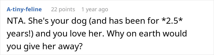 &ldquo;She Never Barks And Is The Best Hiking Buddy Ever&rdquo;: Guy Has Had His Friend&rsquo;s Dog For 2.5 Years When Friend Asks Him To Ship Her Back, Guy Refuses