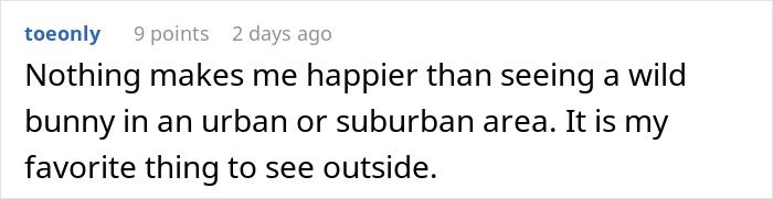 HOA Forces This Family To Get Rid Of Their Bunnies, So They Start A "Bunnypocalypse" Before Moving HOA Forces This Family To Get Rid Of Their Bunnies, So They Start A "Bunnypocalypse" Before Moving