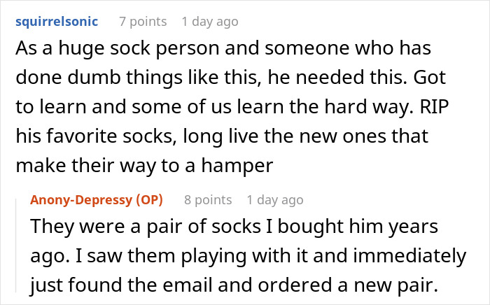 Guy Gets Tired Of His Boyfriend's Socks Being Scattered All Over Their Home, "Unionizes" With Their Dogs Against Him