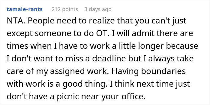 Childfree Coworker Says She Has Plans Instead Of Helping Colleague, Defends Herself Online After Colleague Catches Her Having A Solo Picnic