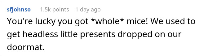 Maintenance Asks Tenant To Provide “Proof” Of Mouse Infestation By Bringing What They Catch To The Main Office, They Maliciously Comply Maintenance Asks Tenant To Provide “Proof” Of Mouse Infestation By Bringing What They Catch To The Main Office, They Maliciously Comply