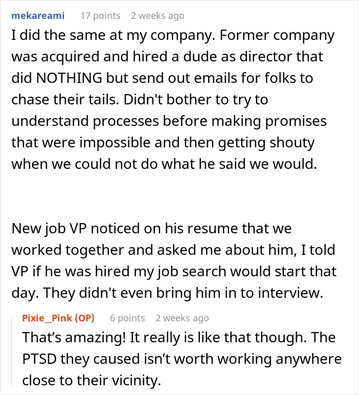 Employee Is Surprised Their Nasty Ex-Boss Attends A Job Interview At Their New Company, Does Their Best To Make Them Fail It