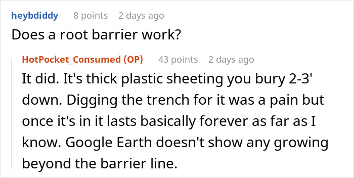 &ldquo;I Quickly Discovered Running Bamboo&rdquo;: Homeowner Takes Revenge On Inconsiderate Neighbor Refusing To Shift His Security Light