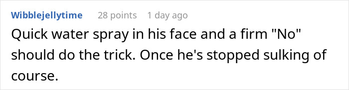 Guy Gets Tired Of His Boyfriend's Socks Being Scattered All Over Their Home, "Unionizes" With Their Dogs Against Him