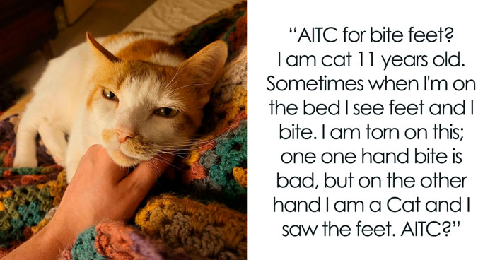 This Community For Pet Owners Helps Them To Understand If Their Pet’s Actually A Jerk (33 Examples)