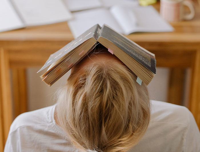 “Nobody Lives There”: 30 Americans Reveal The Most Brutal And Hilarious Stereotypes They Hold About Each State