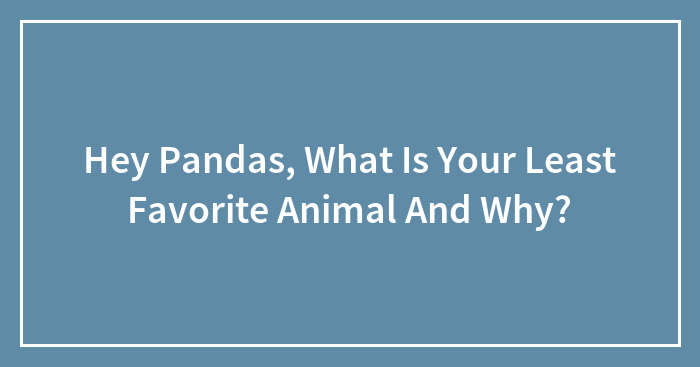 Hey Pandas, What Is Your Least Favorite Animal And Why?