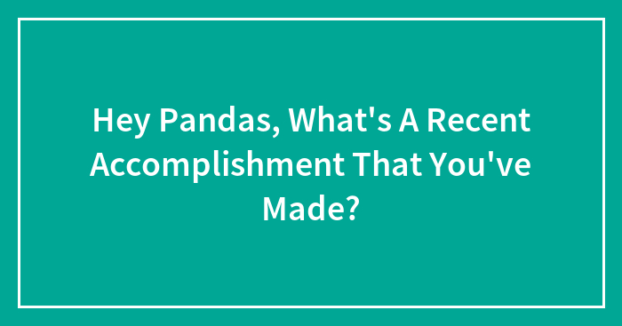 Hey Pandas, What’s A Recent Accomplishment That You’ve Made? (Closed)