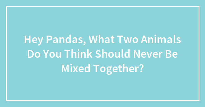 Hey Pandas, What Two Animals Do You Think Should Never Be Mixed Together? (Closed)